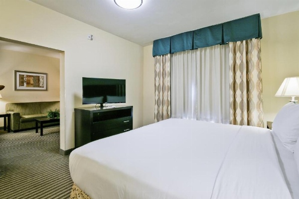 Holiday Inn Express Hotel & Suites Carthage image 13